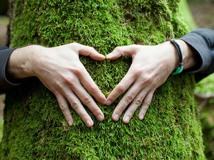ESTRATEXIA DE SUSTENTABILIDADE AMBIENTAL ESTRATEXIA DE SUSTENTABILIDADE AMBIENTAL