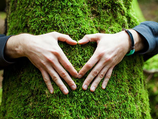 Aprovechamiento AGROFORESTAL SOSTENIBLE Aprovechamiento AGROFORESTAL SOSTENIBLE