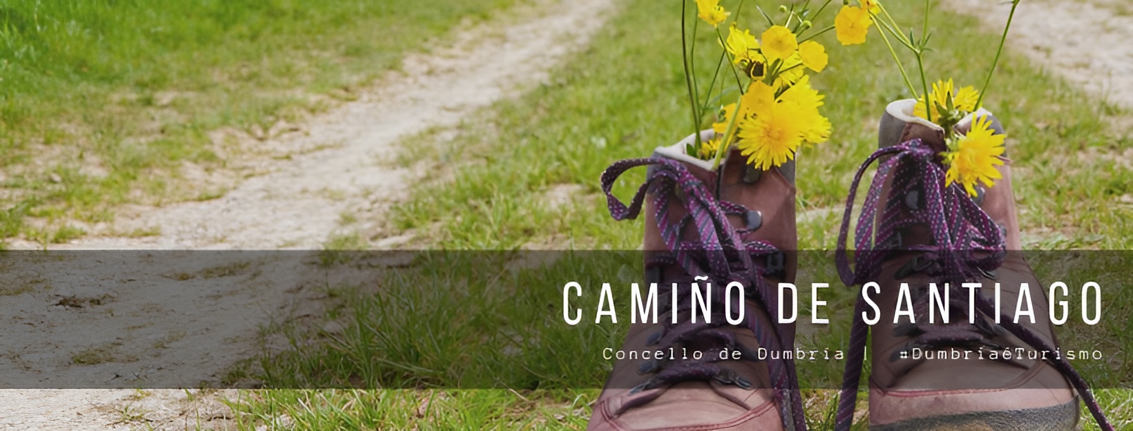 Dumbría é Camiño