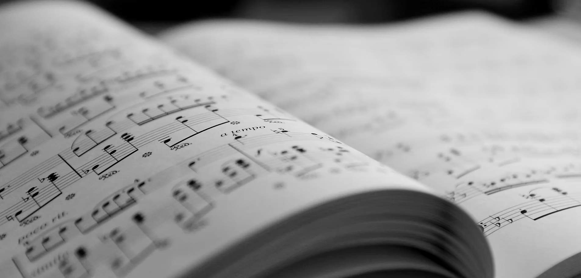 Actividades Culturais