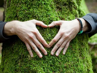 ESTRATEXIA DE SUSTENTABILIDADE AMBIENTAL
