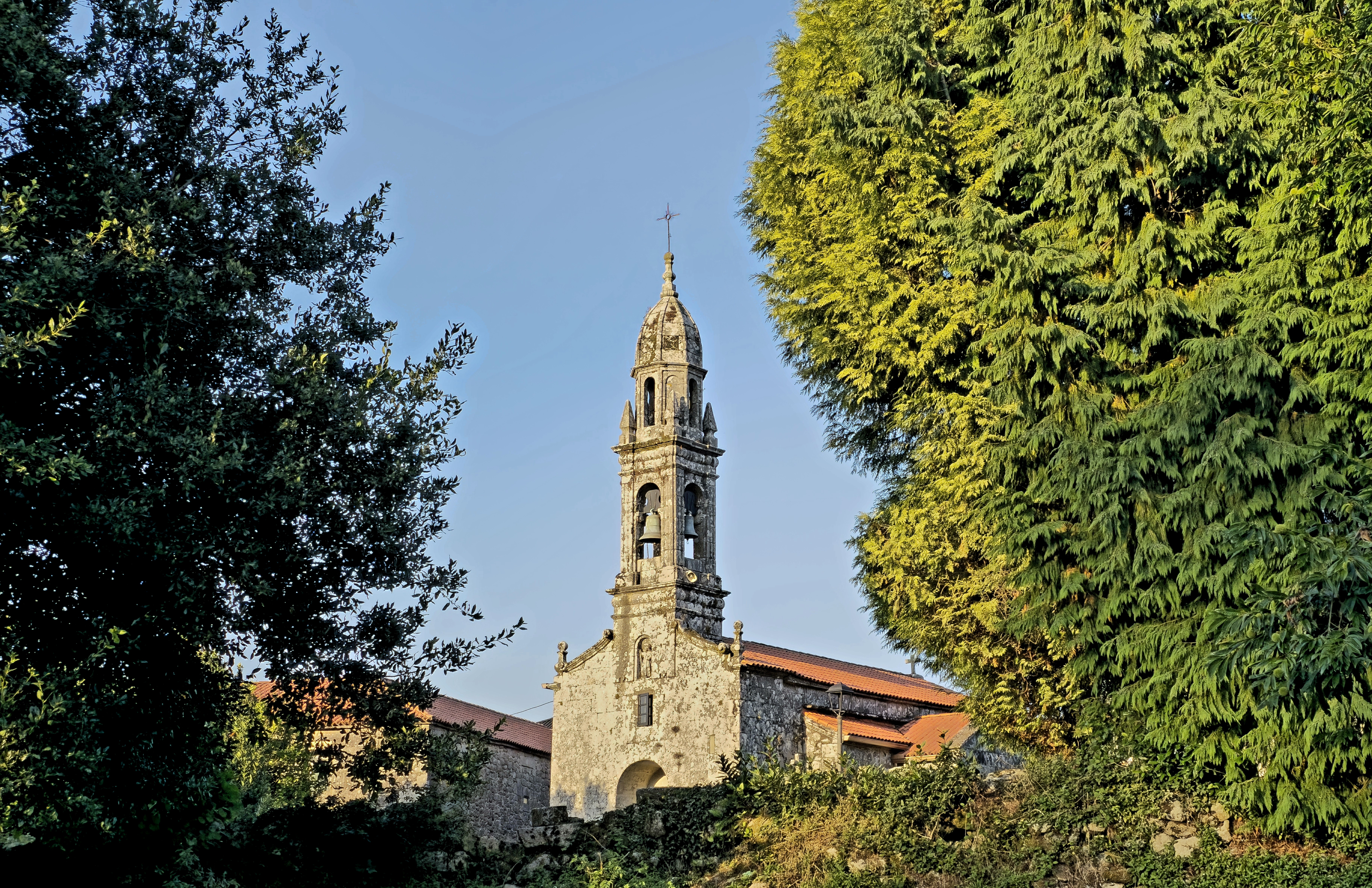 Formulario 313